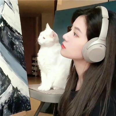 麒麟之翼